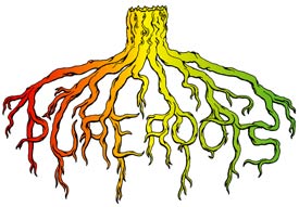 Pure Roots